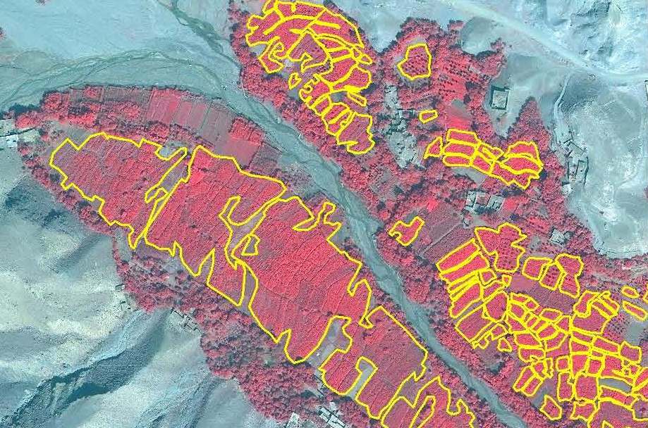 Cannabis fields at flowering stage, as seen on a false-colour satellite image in Nangarhar province. Source: Survey of Commercial Cannabis Cultivation and Production 2012