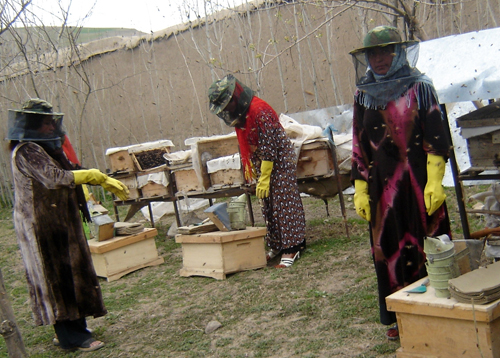 Members of a women's cooperative in north-eastern Afghan province of Badakhshan involved in beekeeping. Photo: UNAMA