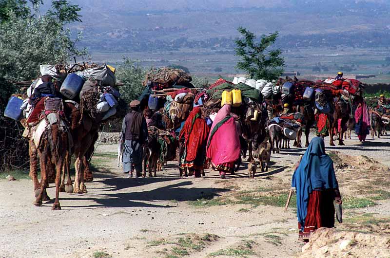 A caravan of Kuchi people in Afghanistan's Parwan province. Photo: UNAMA / Fardin Waezi