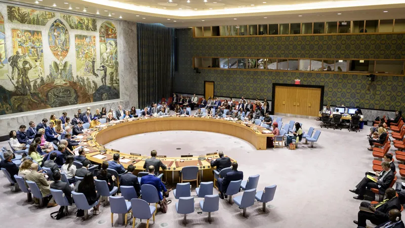UN Security Council