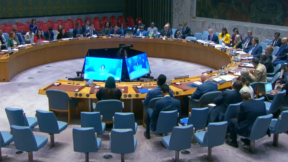 DSRSG Georgette Gagnon briefing the UN Security Council online from Kabul