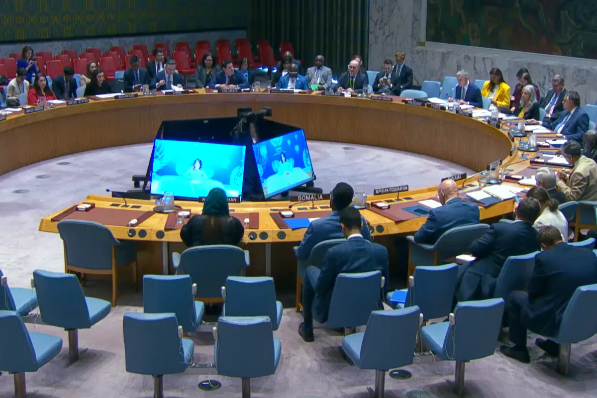 DSRSG Georgette Gagnon briefing the UN Security Council online from Kabul