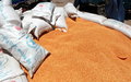 Despite end-of-year decline, 2011 food prices highest on record – UN