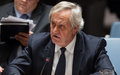 Security Council debates Afghanistan and approves UNAMA mandate renewal