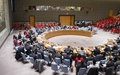 Security Council extends mandate of international force in Afghanistan