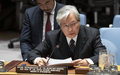 Election ‘completed with credibility’ will be milestone in Afghanistan’s history – UN envoy