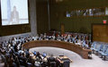 At Security Council briefing, UN envoy flags importance of formation of new Afghan government