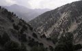 Afghans highlight deforestation dangers at start of UN Year of Forests  
