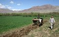Poor harvest pushes millions more into food insecurity ahead of winter, predicts Afghan official
