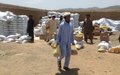 Military offensives in Pakistan displaced 9,000 families into Afghan province – UN refugee agency