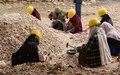 Rebuilding Afghanistan with the women of Samangan