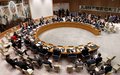 Security Council Press Statement on the Tokyo Conference on Afghanistan