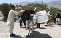 The election donkeys in one of Afghanistan’s provinces 