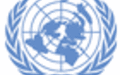 Contribute to next human rights report: UN envoy tells Taliban