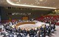 Security Council deplores latest terrorist attacks in Afghan capital 