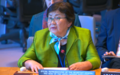 Briefing by Special Representative Roza Otunbayeva to the Security Council